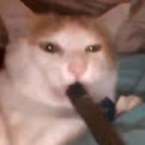 Meet your Posher, Miik